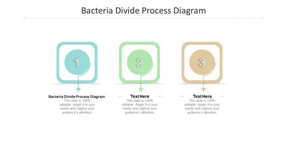 Bacteria divide process diagram ppt powerpoint presentation inspiration example cpb
