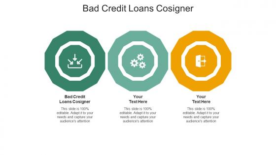 Bad credit loans cosigner ppt powerpoint presentation slides graphics template cpb