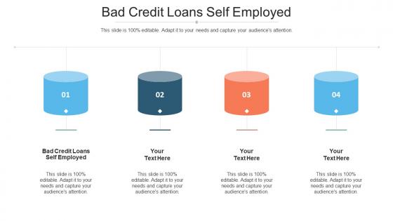 Bad Credit Loans Self Employed Ppt Powerpoint Presentation Styles Graphics Cpb