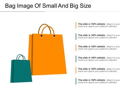 Bag image of small and big size