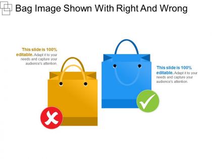 Bag image shown with right and wrong