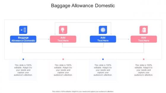 Baggage Allowance Domestic In Powerpoint And Google Slides Cpb