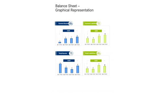 Balance Sheet Graphical Representation One Pager Sample Example Document