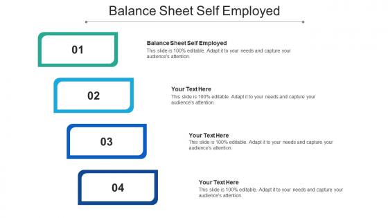 Balance sheet self employed ppt powerpoint presentation inspiration cpb