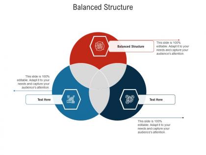 Balanced structure ppt powerpoint presentation model portfolio cpb