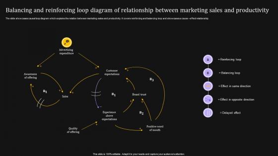 Balancing And Reinforcing Loop Diagram Of Relationship Between Marketing Sales And Productivity