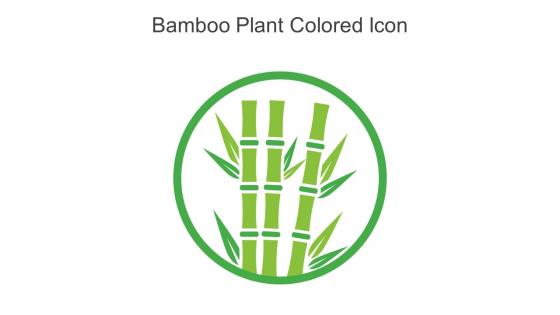 Bamboo Plant Colored Icon In Powerpoint Pptx Png And Editable Eps Format