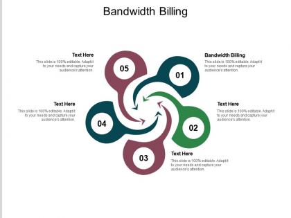Bandwidth billing ppt powerpoint presentation infographic template vector cpb