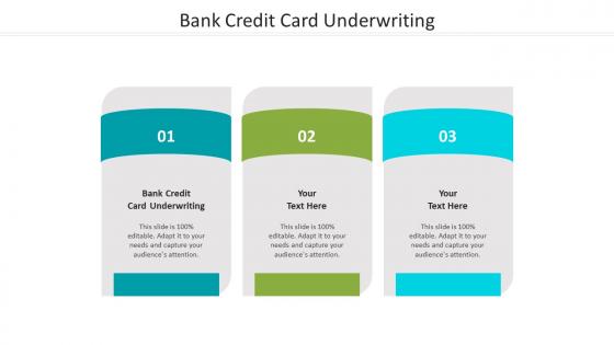 Bank credit card underwriting ppt powerpoint presentation infographics backgrounds cpb