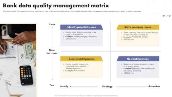 Bank Data Quality Management Matrix