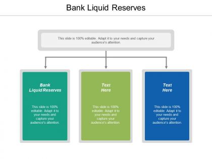Bank liquid reserves ppt powerpoint presentation file diagrams cpb