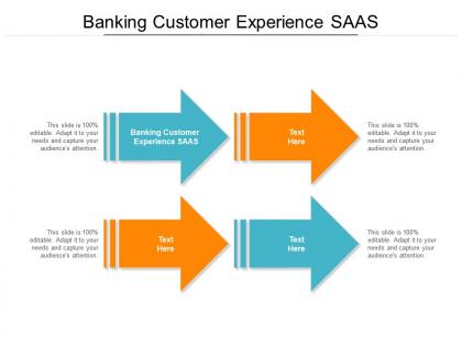Banking customer experience saas ppt powerpoint presentation infographics elements cpb