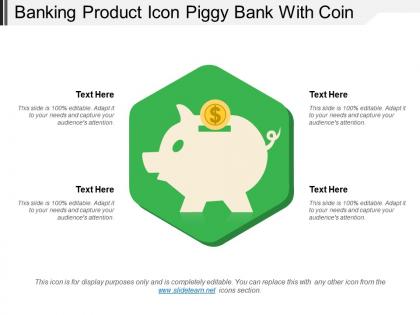 Banking product icon piggy bank with coin