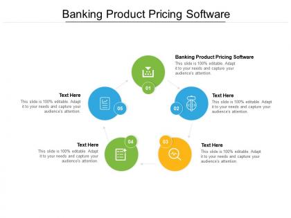 Banking product pricing software ppt powerpoint presentation infographic template tips cpb