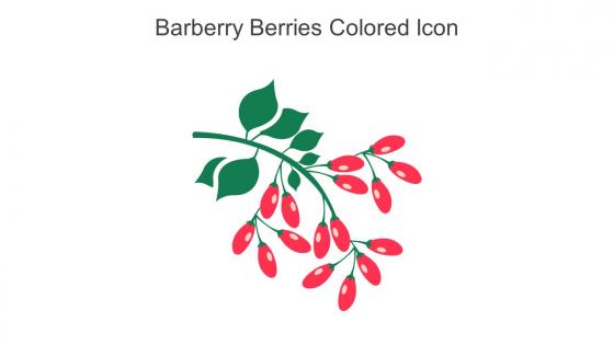 Barberry Berries Colored Icon In Powerpoint Pptx Png And Editable Eps Format