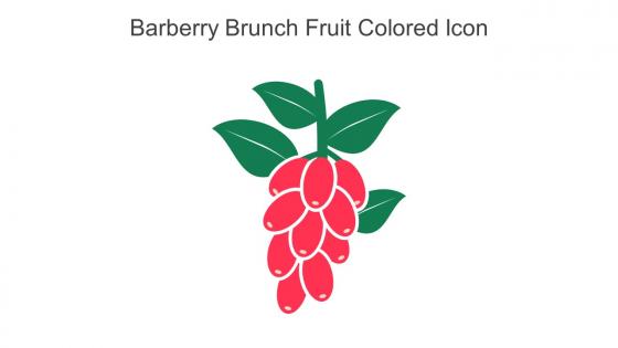 Barberry Brunch Fruit Colored Icon In Powerpoint Pptx Png And Editable Eps Format