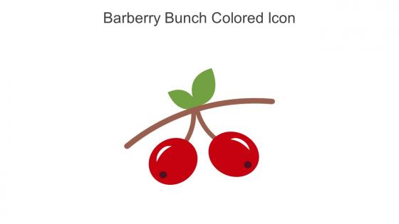 Barberry Bunch Colored Icon In Powerpoint Pptx Png And Editable Eps Format