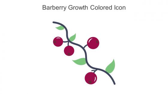 Barberry Growth Colored Icon In Powerpoint Pptx Png And Editable Eps Format