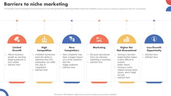 Barriers To Niche Marketing Types Of Target Marketing Strategies