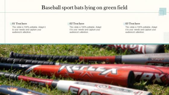 Baseball Sport Bats Lying On Green Field