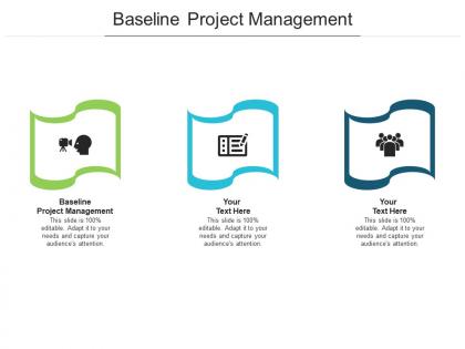 Baseline project management ppt powerpoint presentation pictures icon cpb