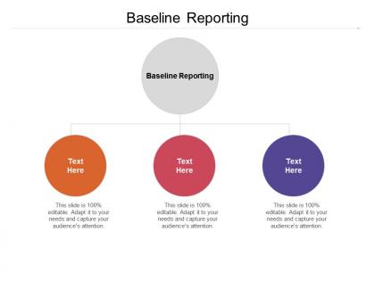 Baseline reporting ppt powerpoint presentation summary portfolio cpb