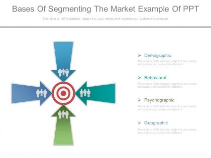 Bases of segmenting the market example of ppt
