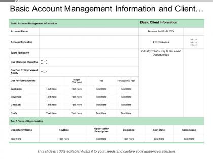 Basic account management information and client opportunity name description