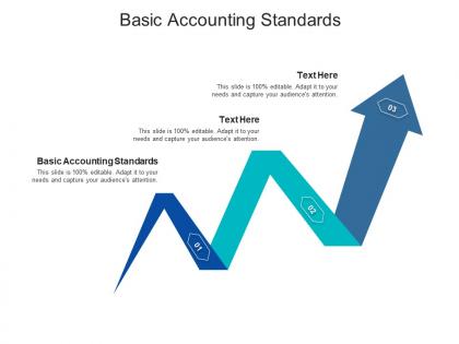Basic accounting standards ppt powerpoint presentation icon portrait cpb