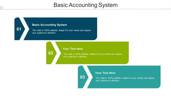 Basic Accounting System Ppt Powerpoint Presentation Styles Backgrounds Cpb