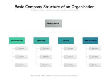 Basic company structure of an organisation