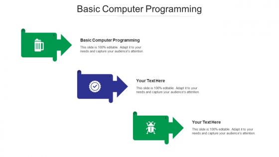 Basic computer programming ppt powerpoint presentation file diagrams cpb