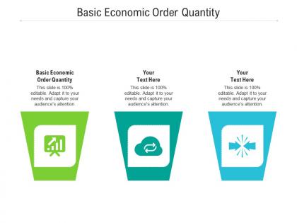 Basic economic order quantity ppt powerpoint presentation ideas infographic template cpb