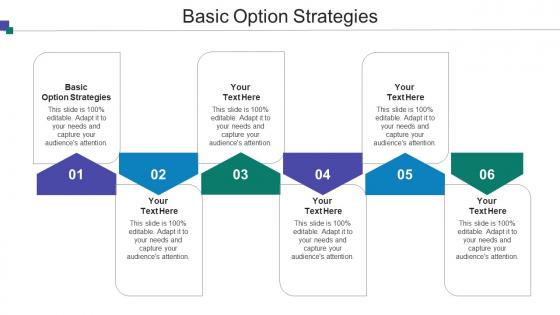 Basic Option Strategies Ppt Powerpoint Presentation Gallery Deck Cpb