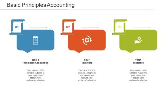 Basic Principles Accounting Ppt Powerpoint Presentation Professional Styles Cpb