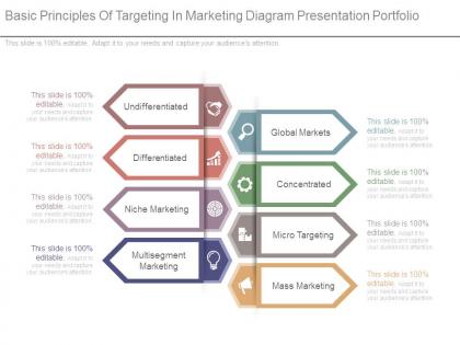 Basic principles of targeting in marketing diagram presentation portfolio