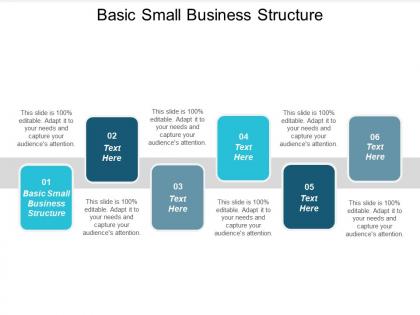 Basic small business structure ppt powerpoint presentation gallery format cpb