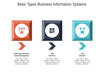 Basic types business information systems ppt powerpoint presentation portfolio samples cpb