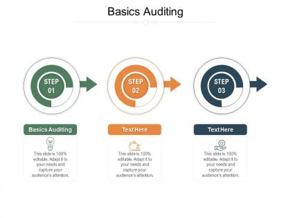 Basics auditing ppt powerpoint presentation model icons cpb