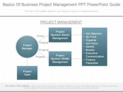Basics of business project management ppt powerpoint guide