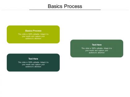Basics process ppt powerpoint presentation summary brochure cpb