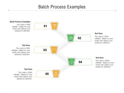 Batch process examples ppt powerpoint presentation gallery graphics pictures cpb