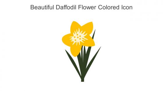 Beautiful Daffodil Flower Colored Icon In Powerpoint Pptx Png And Editable Eps Format