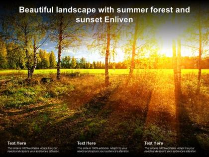 Beautiful landscape with summer forest and sunset enliven