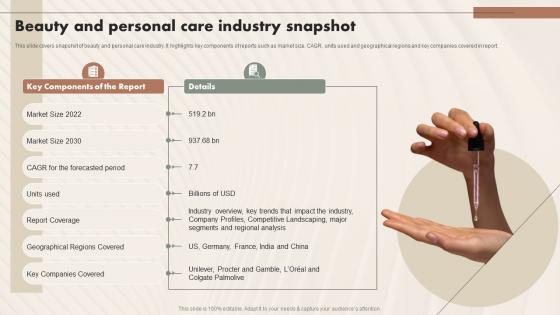 Beauty And Personal Care Industry Snapshot Beauty And Personal Care IR SS