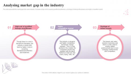 Beauty Salon Business Plan Analysing Market Gap In The Industry BP SS