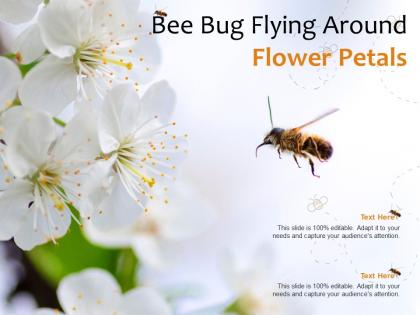 Bee bug flying around flower petals