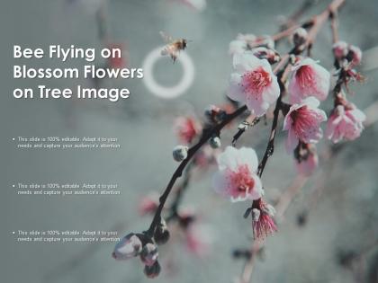Bee flying on blossom flowers on tree image