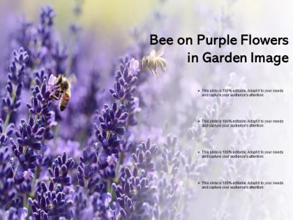 Bee on purple flowers in garden image
