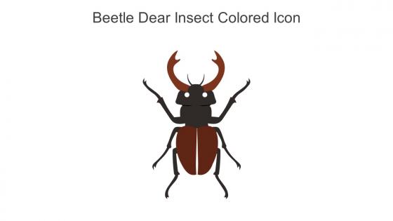 Beetle Dear Insect Colored Icon In Powerpoint Pptx Png And Editable Eps Format